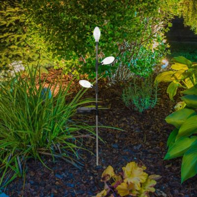 Image showing  Solar Triple Clear Christmas Lights