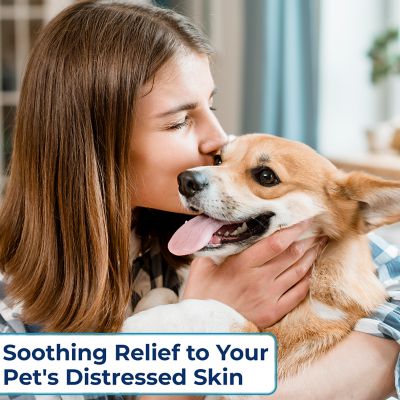 Image showing  Infection Fighting Shampoo by Dr. Rachel