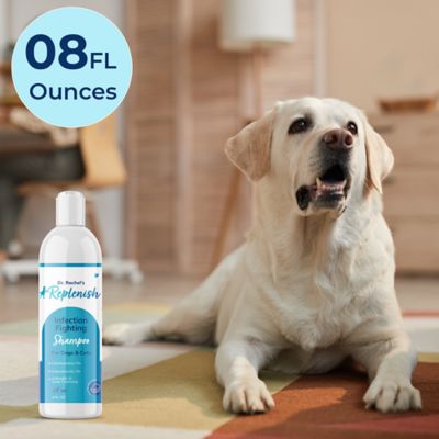 Image showing 7 th Replenish Infection Fighting Shampoo by Dr. Rachel