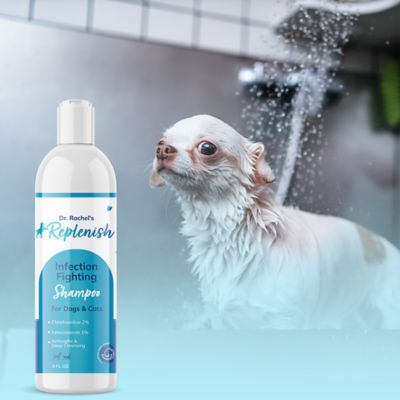 Image showing 9 th Replenish Infection Fighting Shampoo by Dr. Rachel