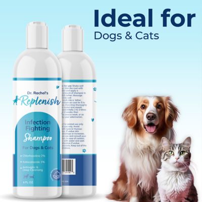 Image showing 10 th Replenish Infection Fighting Shampoo by Dr. Rachel