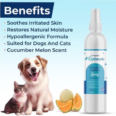 Image showing  Infection Fighting Spray by Dr. Rachel