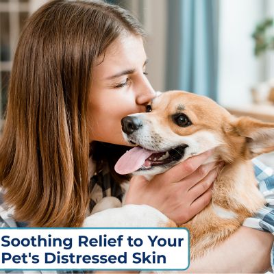 Image showing  Infection Fighting Spray by Dr. Rachel