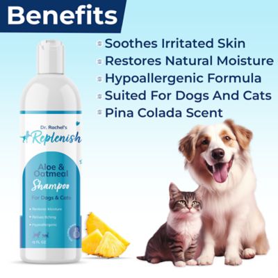 Image showing  Aloe and Oatmeal Shampoo by Dr. Rachel