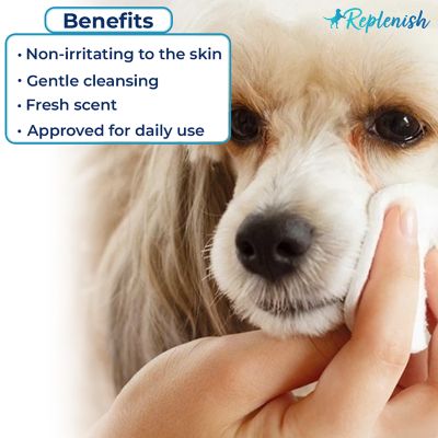 Image showing  Facial and Tear Stain Wipes by Dr. Rachel