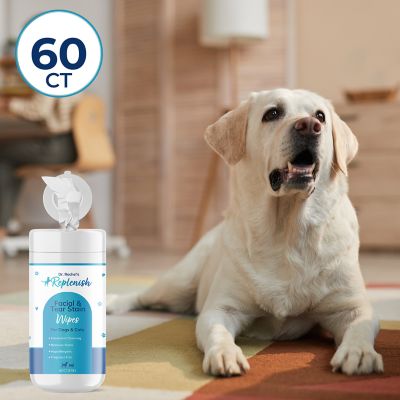 Image showing  Facial and Tear Stain Wipes by Dr. Rachel