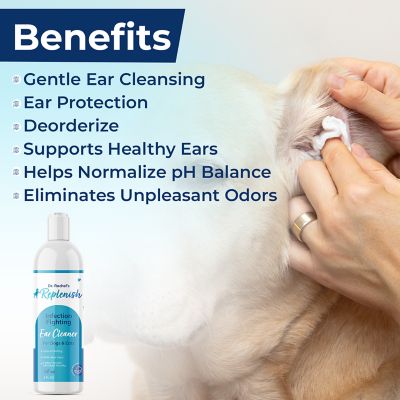 Image showing  Infection Fighting Ear Cleaner by Dr. Rachel