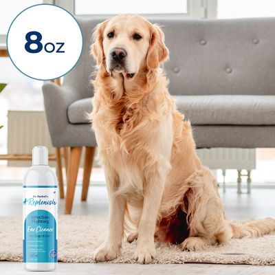 Image showing  Infection Fighting Ear Cleaner by Dr. Rachel