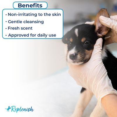 Image showing  Infection Fighting Ear Cleaner by Dr. Rachel