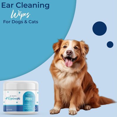 Image showing 6 th Replenish Ear Cleaning Wipes by Dr. Rachel