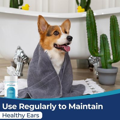 Image showing 7 th Replenish Ear Cleaning Wipes by Dr. Rachel