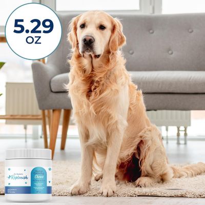 Image showing  Hemp Calming Chews by Dr. Rachel