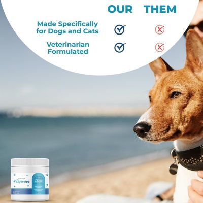 Image showing 6 th Replenish Hemp Calming Chews by Dr. Rachel