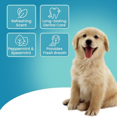 Image showing  Dental Wipes by Dr. Rachel