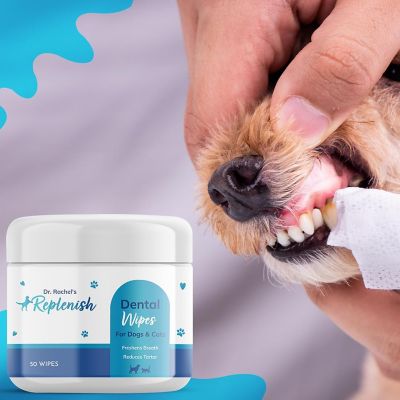 Image showing  Dental Wipes by Dr. Rachel