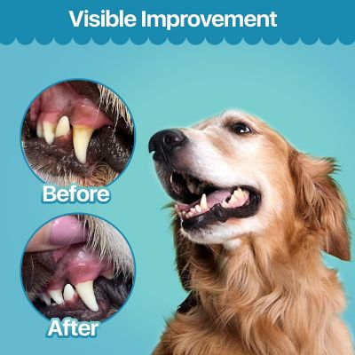 Image showing 5 th Replenish Dental Wipes by Dr. Rachel