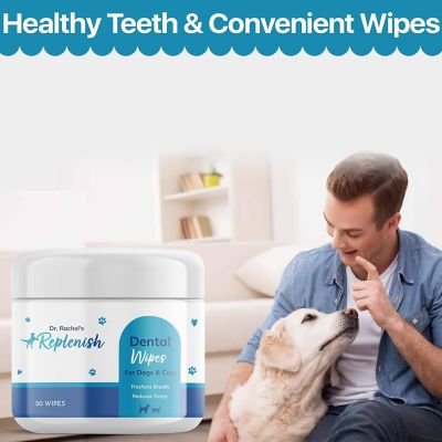 Image showing 6 th Replenish Dental Wipes by Dr. Rachel