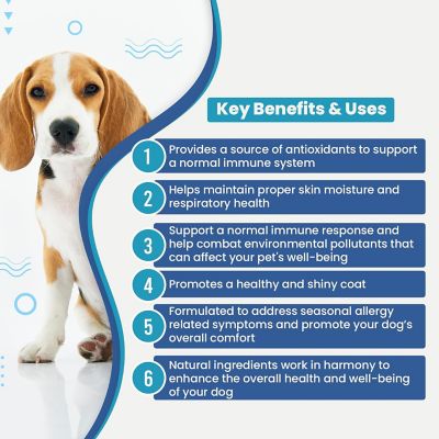 Image showing  Allergy and Immune Support Chews by Dr. Rachel