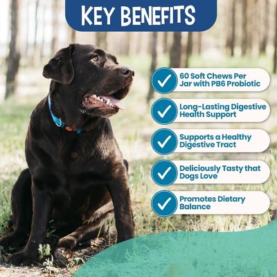 Image showing  Digestive Enzyme and Probiotic Chews by Dr. Rachel