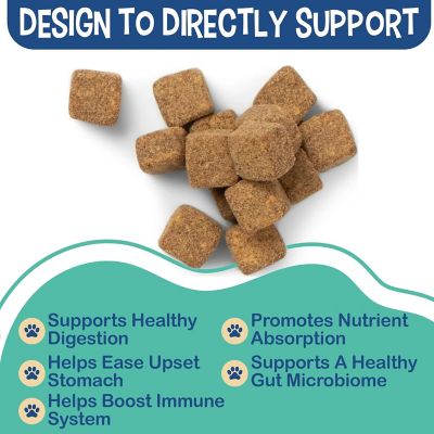 Image showing  Digestive Enzyme and Probiotic Chews by Dr. Rachel