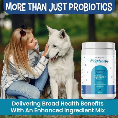 Image showing  Digestive Enzyme and Probiotic Chews by Dr. Rachel