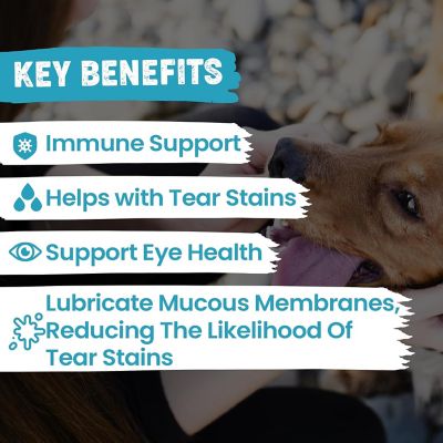 Image showing  Tear Stain Chews by Dr. Rachel