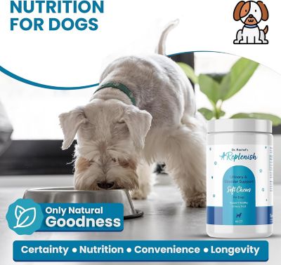 Image showing  Urinary and Bladder Support by Dr. Rachel