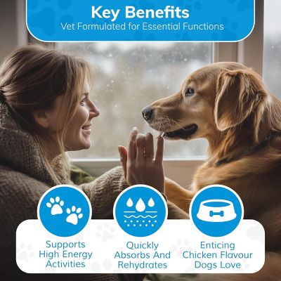 Image showing  Dog Water Supplement by Dr. Rachel, 10 pk.