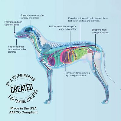 Image showing  Dog Water Supplement by Dr. Rachel, 10 pk.