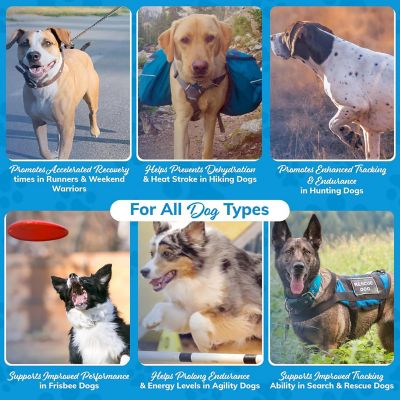 Image showing  Dog Water Supplement by Dr. Rachel, 10 pk.