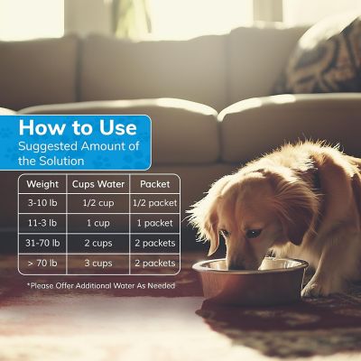 Image showing 6 th Replenish Dog Water Supplement by Dr. Rachel, 10 pk.