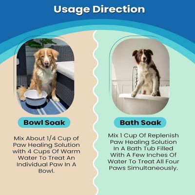 Image showing 5 th Replenish Paw Health Mix by Dr. Rachel