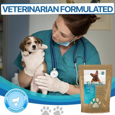 Image showing 6 th Replenish Paw Health Mix by Dr. Rachel