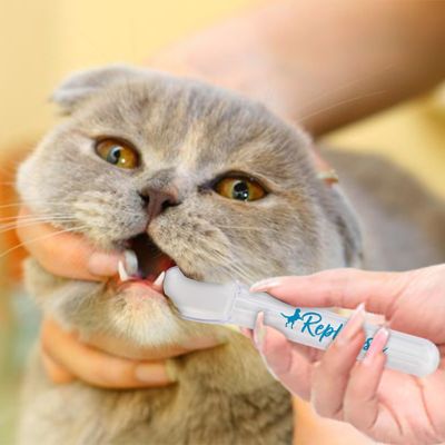 Image showing  Easy Pet Medication Spoon by Dr. Rachel