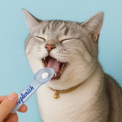 Image showing 5 th Replenish Easy Pet Medication Spoon by Dr. Rachel