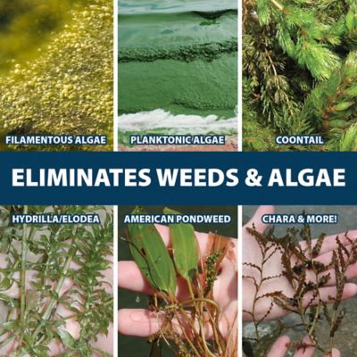 Image showing  EasyKlear 2-in-1 Granular Algae and Aquatic Weed Control, 15 lb.
