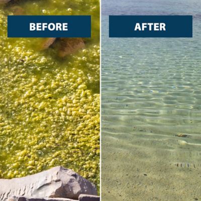 Image showing 5 th Airmax EasyKlear 2-in-1 Granular Algae and Aquatic Weed Control, 15 lb.