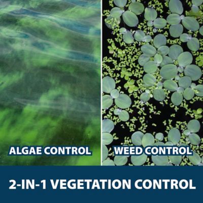 Image showing 6 th Airmax EasyKlear 2-in-1 Granular Algae and Aquatic Weed Control, 15 lb.