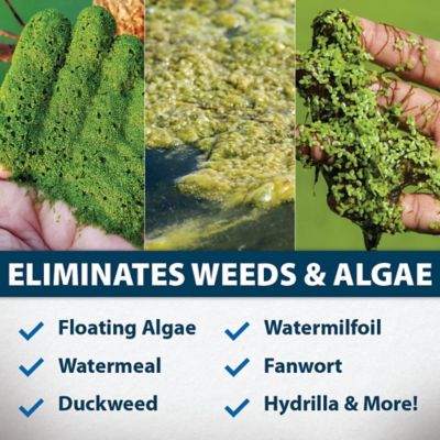 Image showing  KnockDown Defense Aquatic Weed and Algae Control, 16 oz.