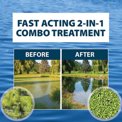 Image showing  KnockDown Defense Aquatic Weed and Algae Control, 16 oz.