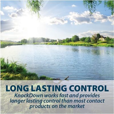 Image showing  KnockDown Defense Aquatic Weed and Algae Control, 16 oz.