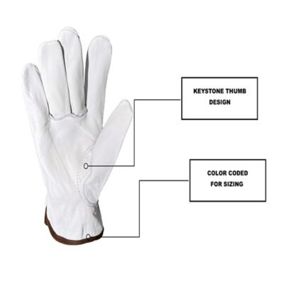 Image showing  Goatskin Leather Driver Gloves, 3 Pack