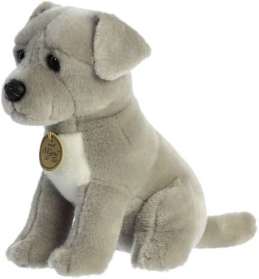 Image showing  Pit Bull Puppy Plush Toy