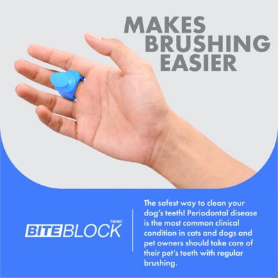 Image showing  Dog Toothbrush Assistant, Bite Block for Small Dog or Cat, Blue