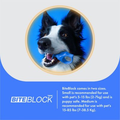 Image showing  Dog Toothbrush Assistant, Bite Block for Small Dog or Cat, Blue