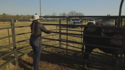 Image showing  Model 20 135-Degree Premier Open Sweep with 16 ft. Alley