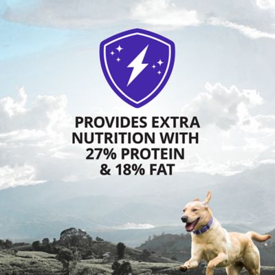 Image showing  High Calorie Powder Supplement for Dogs, 60 Servings