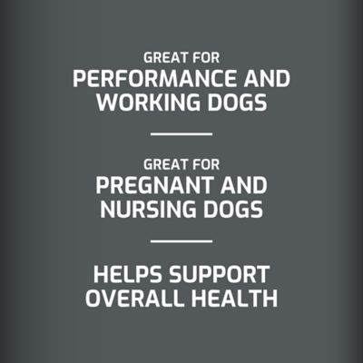 Image showing  High Calorie Powder Supplement for Dogs, 60 Servings