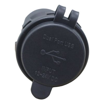 Image showing  Round Socket Auxiliary Charging Port with Dual C-Type PD 60W Outputs Blue Indigo LED and Cover