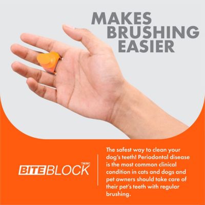 Image showing  Dog Toothbrush Assistant, Bite Block for Small Dog or Cat, Orange